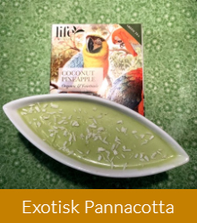 Exotisk pannacotta