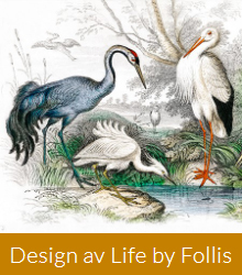 Life by Follis Design