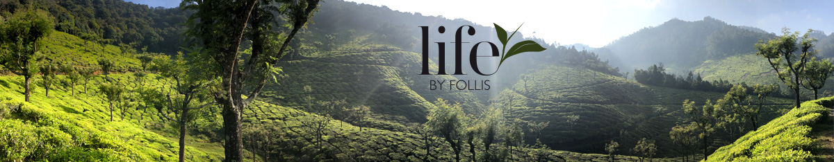 Life by Follis